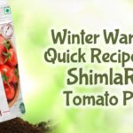 Quick Recipes with tomato puree