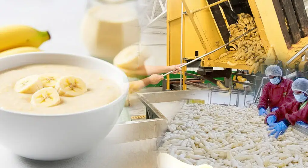 Banana Puree Concentrate