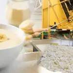 Banana Puree Concentrate