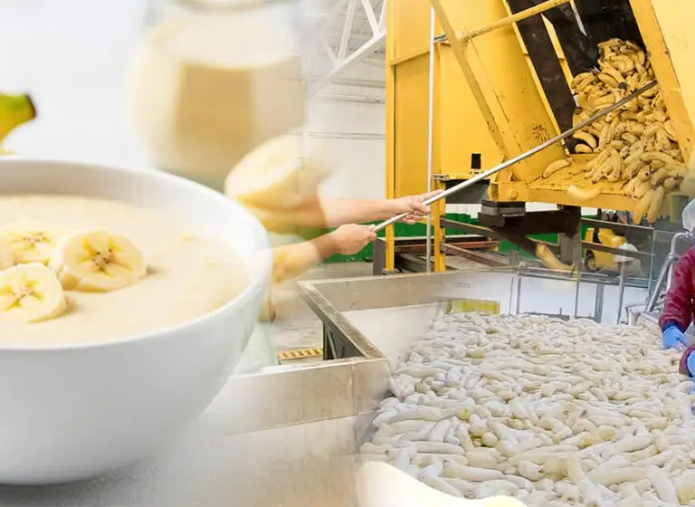 Growing Demand for Banana Puree Concentrate in the Global Food Industry