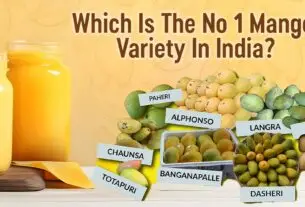 Mango Variety in India