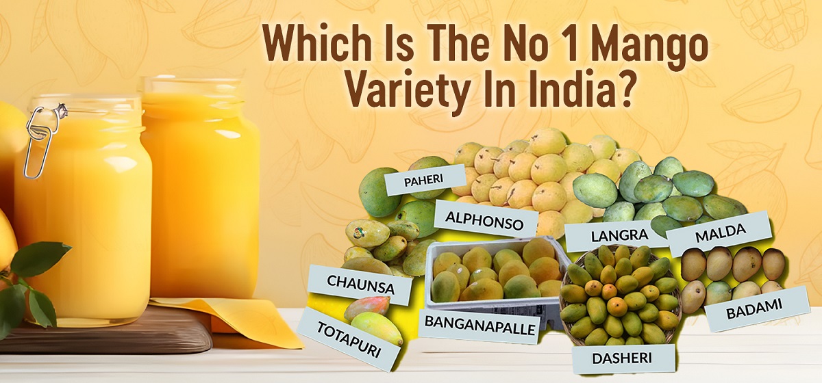 Which is the No. 1 Mango Variety in India?