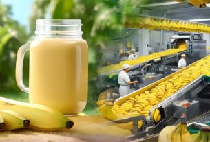Banana Puree Concentrate