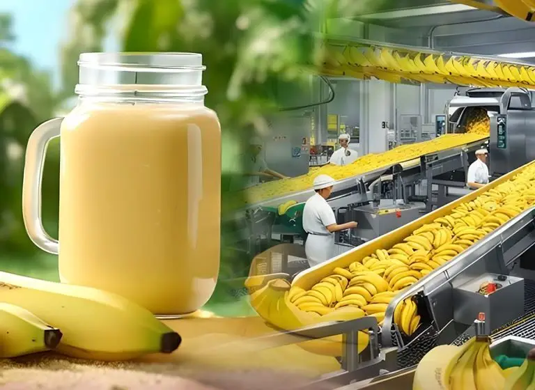 Why Banana Puree Concentrate is a Must-Have Ingredient for Beverage Manufacturers