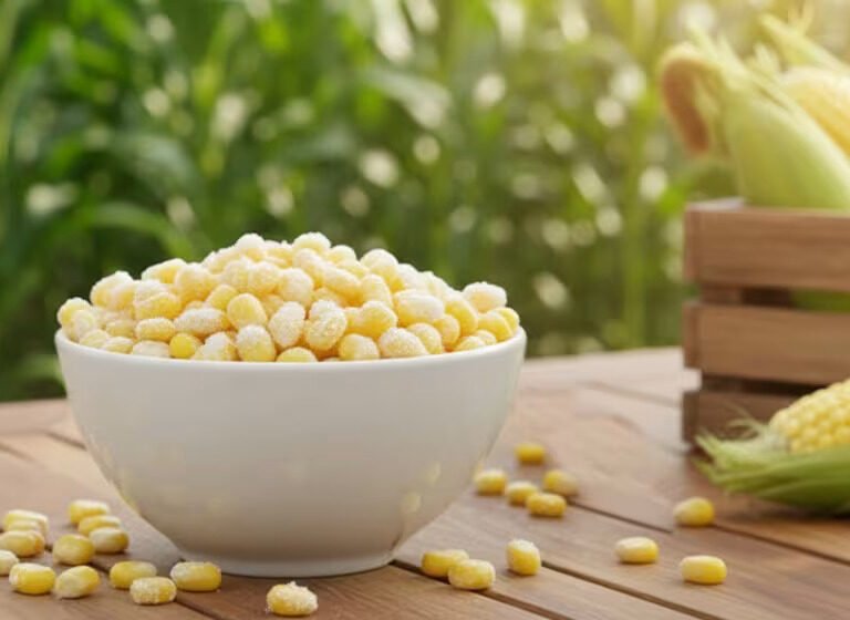 Frozen Sweet Corn Suppliers: Shimla Hills’ IQF Sweet Corn Kernels for Food Manufacturers