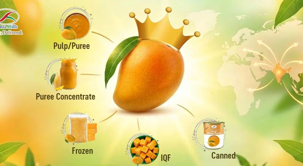 Mango Pulp Supplier