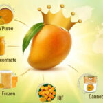 Mango Pulp Supplier