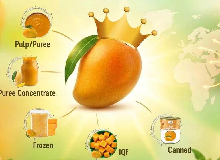 National Fruit of India: Mango — King of Fruits, Indian Mango Varieties, Benefits & Global Market