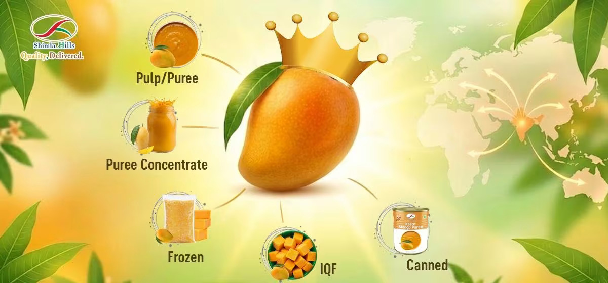 Mango Pulp Supplier