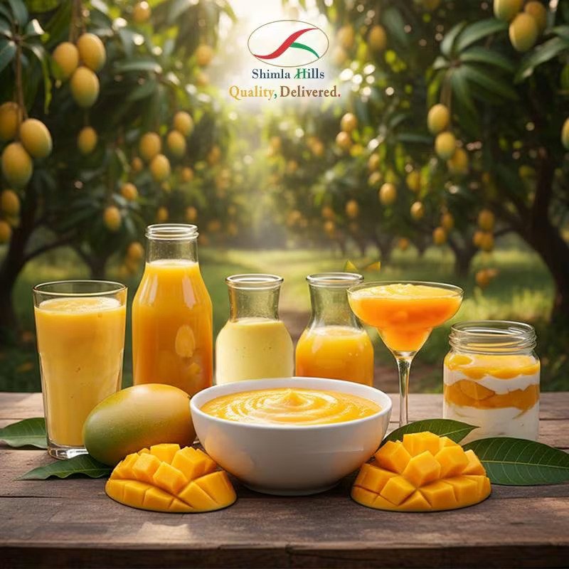 Mango Pulp Supplier Shimla Hills